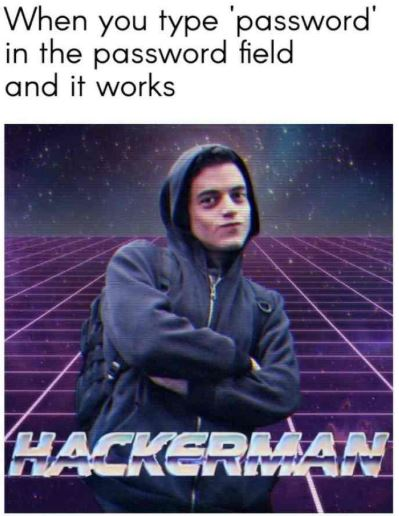 “Hackerman: When you type ‘password’ in the password field and it works!”